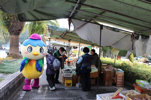 高知の街路市 木曜市に行ってきたでぇ やいろちゃん公式ホームページ 高知の街路市 木曜市に行ってきたでぇ やいろちゃん公式ホームページ
